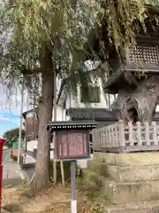 感応殿の建物その他