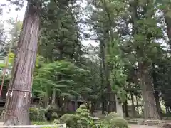 河口浅間神社の庭園