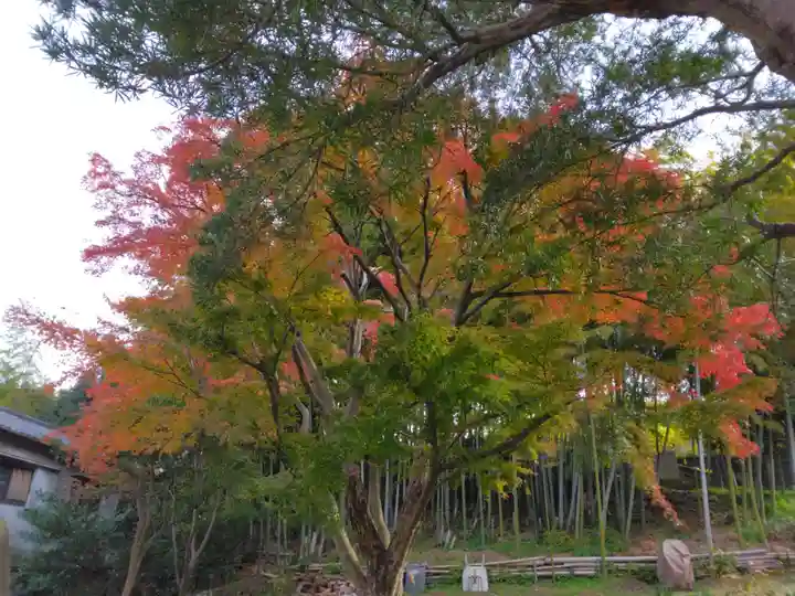 正安寺(神奈川県)