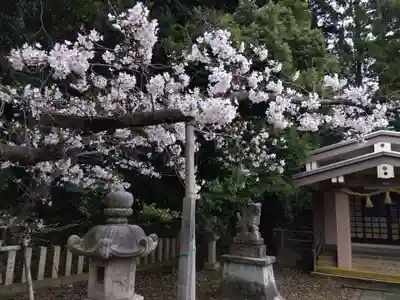 春日神社(福井県)
