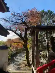 岩水寺の自然