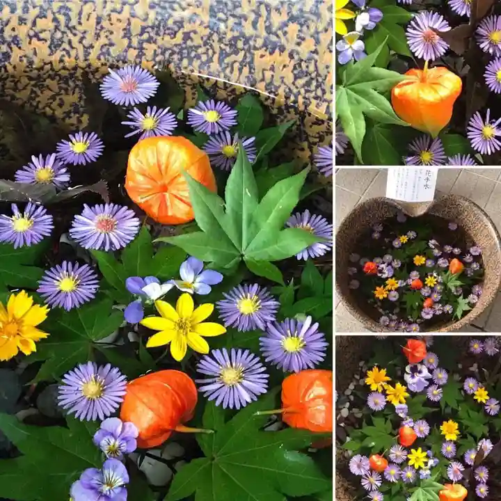 美瑛神社の手水舎