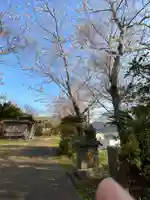 照日神社の自然