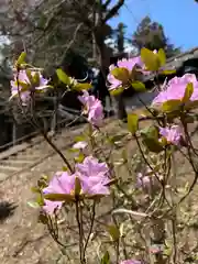 土津神社｜こどもと出世の神さまの自然