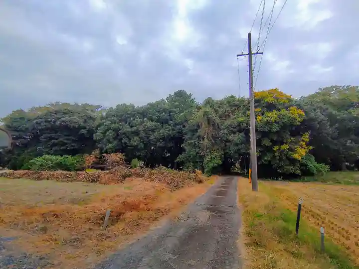 淺間社(赤池町)の自然