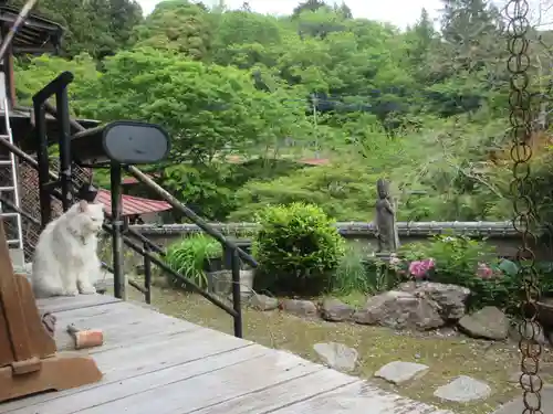 光珠院(埼玉県)