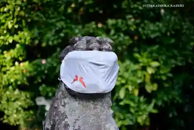 鶴岡八幡宮の狛犬