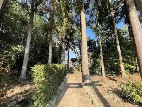山王神社(滋賀県)