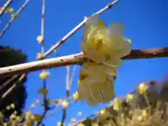 清水寺の自然