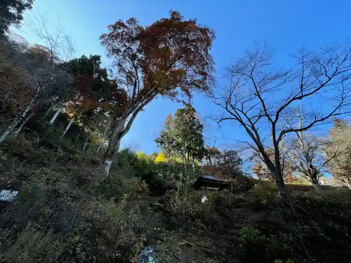 大湯薬師堂の自然