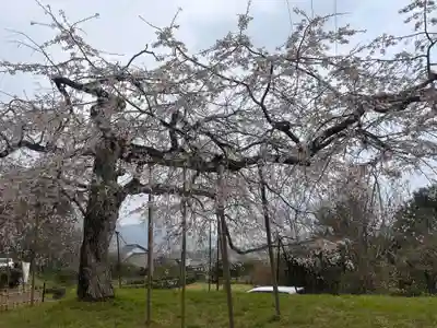 南明寺(山口県)