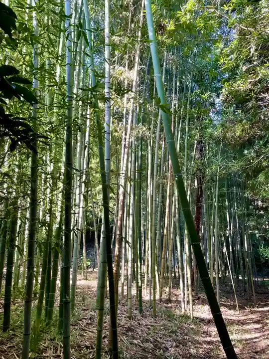 寿福寺(神奈川県)