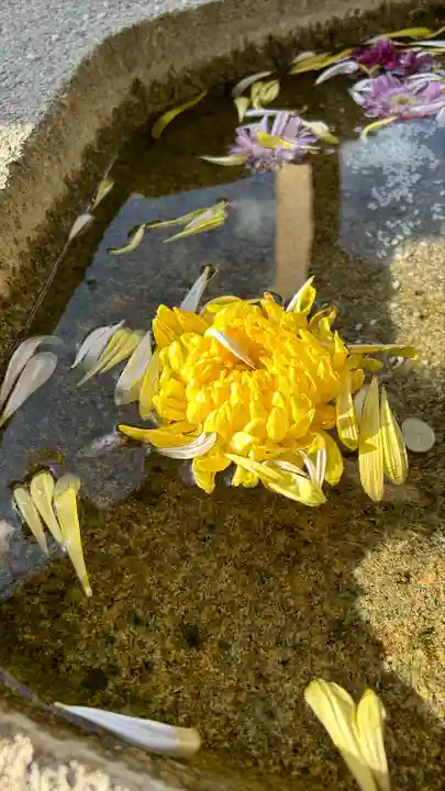 縣主神社(岡山県)