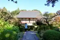 龍潭寺の本殿・本堂