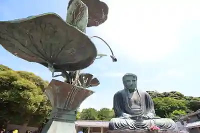 高徳院(神奈川県)