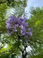 普照院(兵庫県)