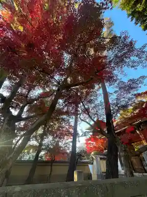 三寳寺(東京都)