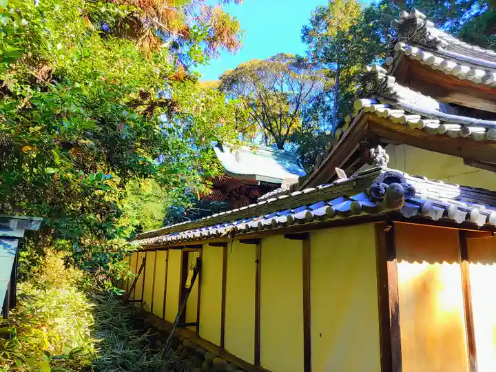 熊野社(塔野地東屋敷)の本殿・本堂