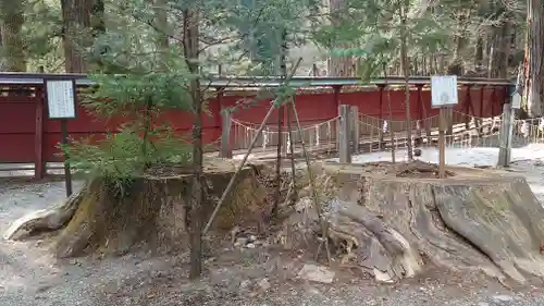 日光二荒山神社(栃木県)