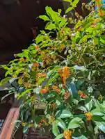 長榮寺(長栄寺)(京都府)