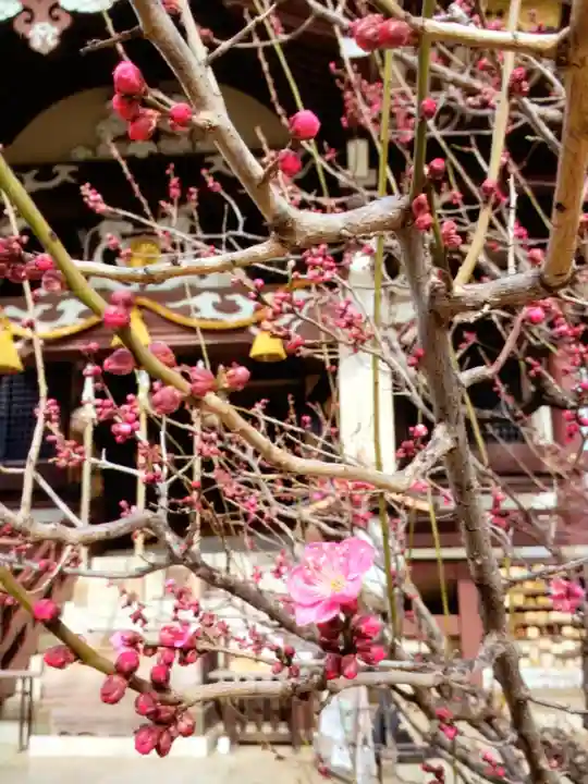 諏訪神社(東京都)