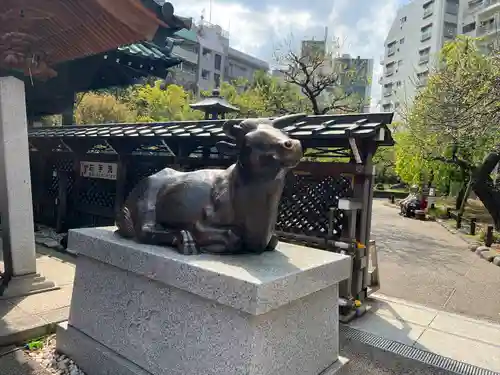 湯島天満宮の狛犬