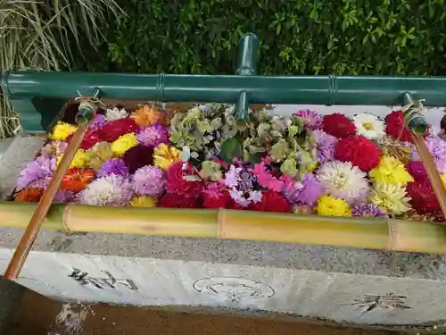 伊和志津神社(兵庫県)