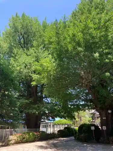森巌寺(東京都)