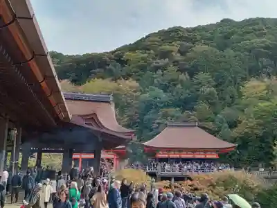 清水寺(京都府)