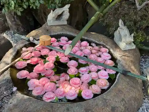 東京羽田 穴守稲荷神社の{uncategorized: "未分類", other: "その他", undefined: "問題あり", building: "その他建物", grave: "お墓", sacred_gate: "鳥居", guardian: "狛犬", statue: "像", buddha: "仏像", history: "歴史", nature: "自然", garden: "庭園", animal: "動物", pagoda: "塔", temizu: "手水舎", mountain_gate: "山門・神門", sanctuary: "本殿・本堂", subordinate: "末社・摂社", art: "芸術", scenery: "景色", jizo: "地蔵", ema: "絵馬", goshuin: "御朱印", omikuji: "おみくじ", items: "授与品その他", amulet: "お守り", goshuincho: "御朱印帳", eats: "食事", festival: "お祭り", votive_dance: "神楽", shichigosan: "七五三参", wedding: "結婚式", experience: "体験その他", initially: "初詣", around: "周辺", anti_infection: "感染症対策"}