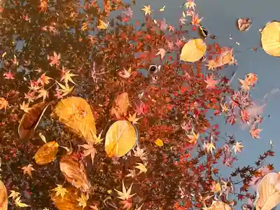 国宝　長寿寺(滋賀県)