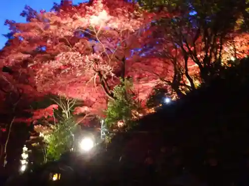 大山寺(神奈川県)