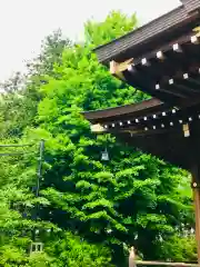 女化神社(茨城県)