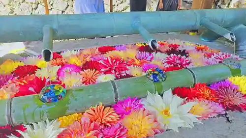 岡寺（龍蓋寺）(奈良県)