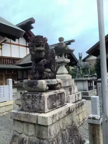 御井神社の狛犬