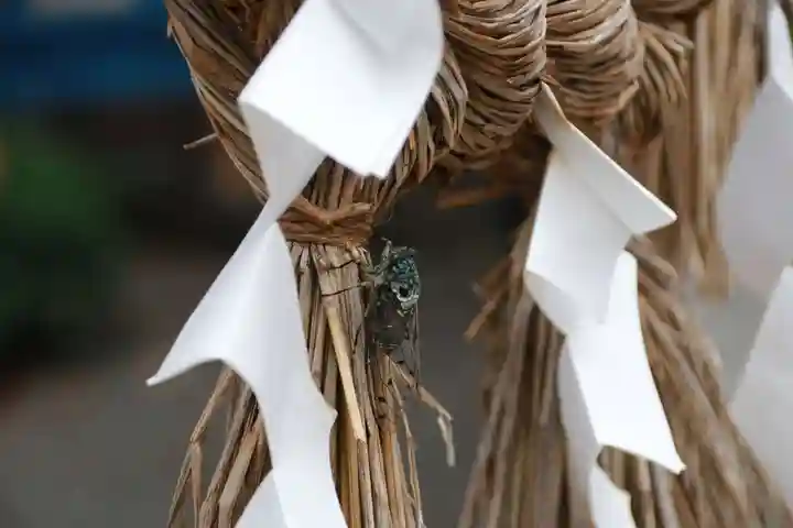 大鏑神社の自然