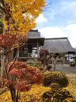 玉蓮寺(宮城県)