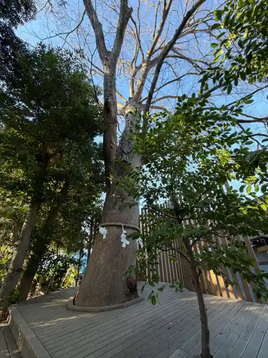 鎮守氷川神社の{uncategorized: "未分類", other: "その他", undefined: "問題あり", building: "その他建物", grave: "お墓", sacred_gate: "鳥居", guardian: "狛犬", statue: "像", buddha: "仏像", history: "歴史", nature: "自然", garden: "庭園", animal: "動物", pagoda: "塔", temizu: "手水舎", mountain_gate: "山門・神門", sanctuary: "本殿・本堂", subordinate: "末社・摂社", art: "芸術", scenery: "景色", jizo: "地蔵", ema: "絵馬", goshuin: "御朱印", omikuji: "おみくじ", items: "授与品その他", amulet: "お守り", goshuincho: "御朱印帳", eats: "食事", festival: "お祭り", votive_dance: "神楽", shichigosan: "七五三参", wedding: "結婚式", experience: "体験その他", initially: "初詣", around: "周辺", anti_infection: "感染症対策"}