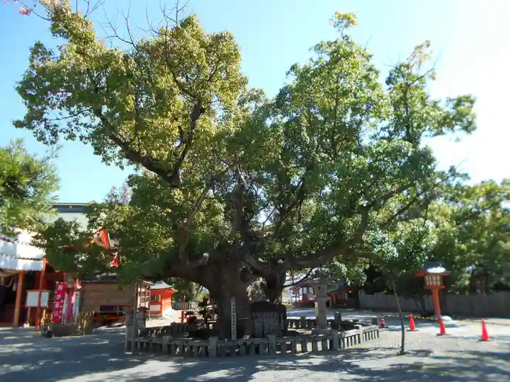 風浪宮(福岡県)