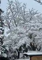 蚊里田八幡宮(長野県)