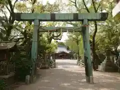 諏訪神社の鳥居