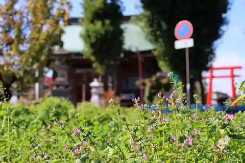 熊野福藏神社の景色