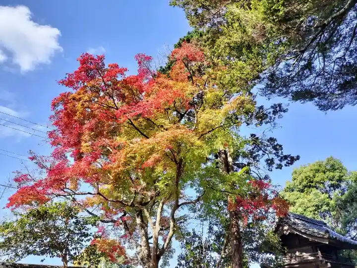 矢田天満宮(京都府)