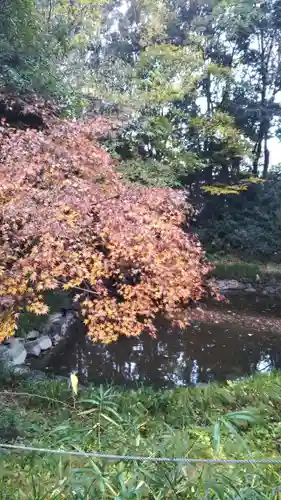 鷲宮神社の景色