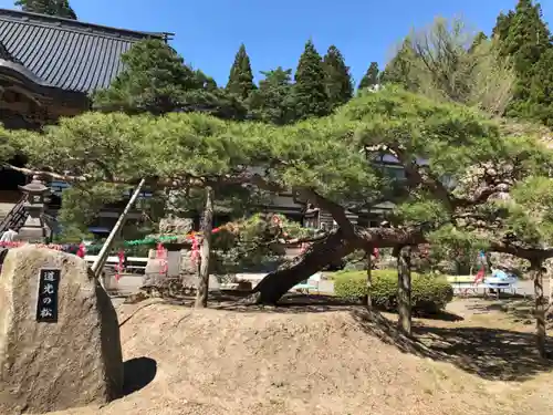 法光寺の庭園