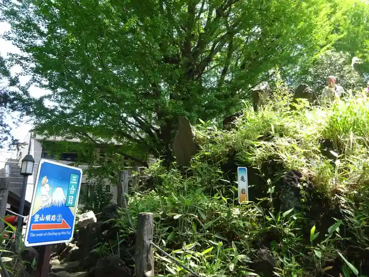 千駄ヶ谷冨士浅間神社(東京都)