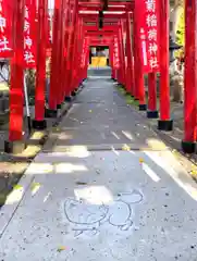 於菊稲荷神社の鳥居