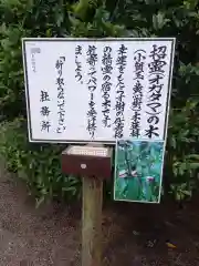 息栖神社(茨城県)