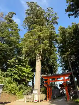 達谷西光寺(岩手県)