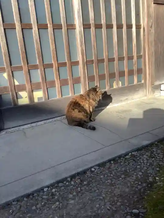 矢合観音の動物